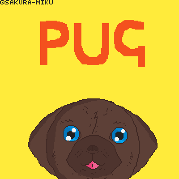 Pug