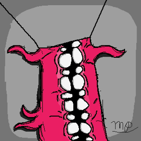 The Smile Room