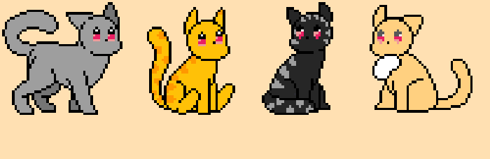 cat party