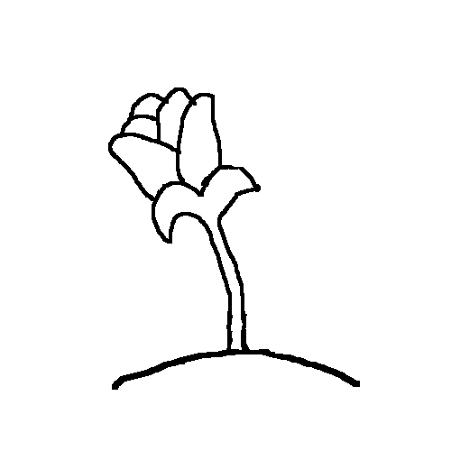 flower gif