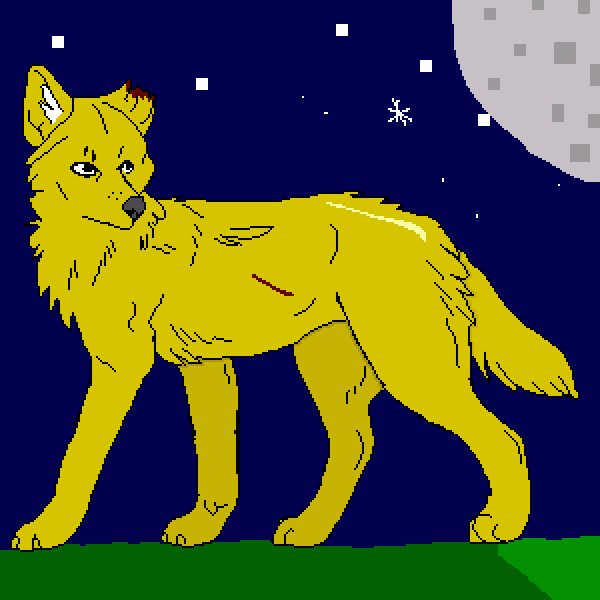 wolf