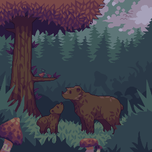 Bears