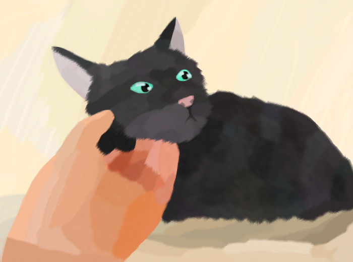 meow meow