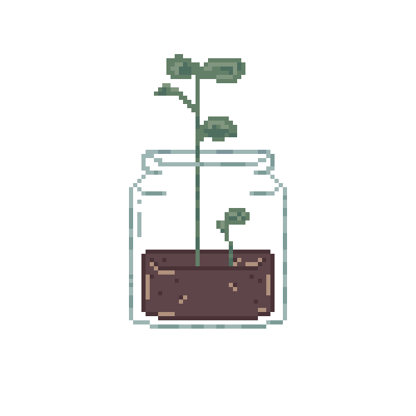Little Plant