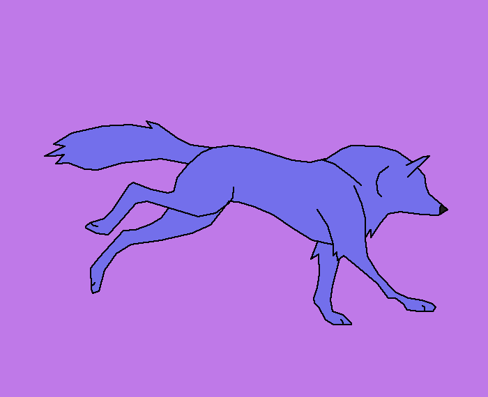 Ombre wolf