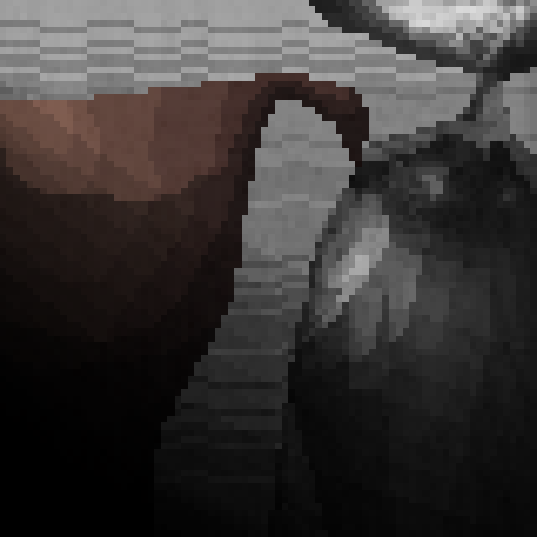 random-image-from-user