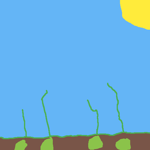 This is grass