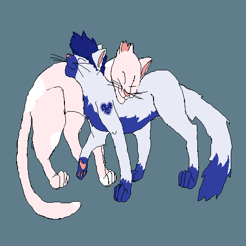 Meow :=3