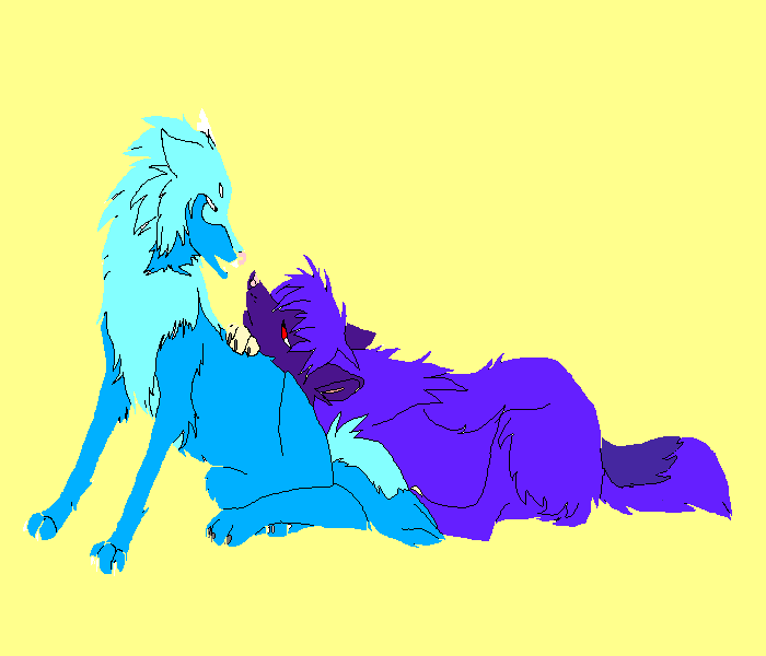 Wolf Couple