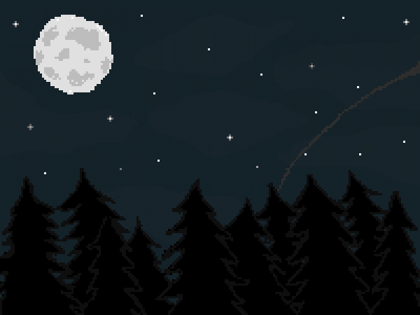 Peaceful night in the forest