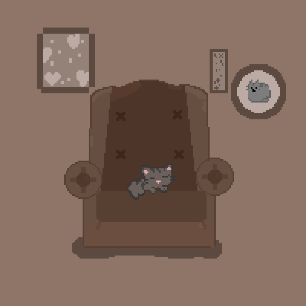 grey cat