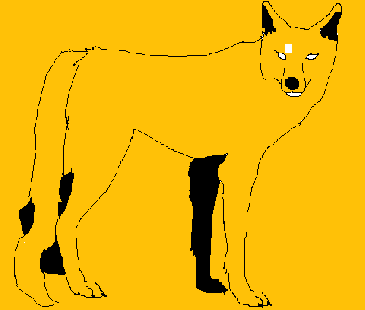 dog and wolf base