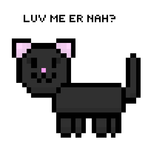 Black cat haha