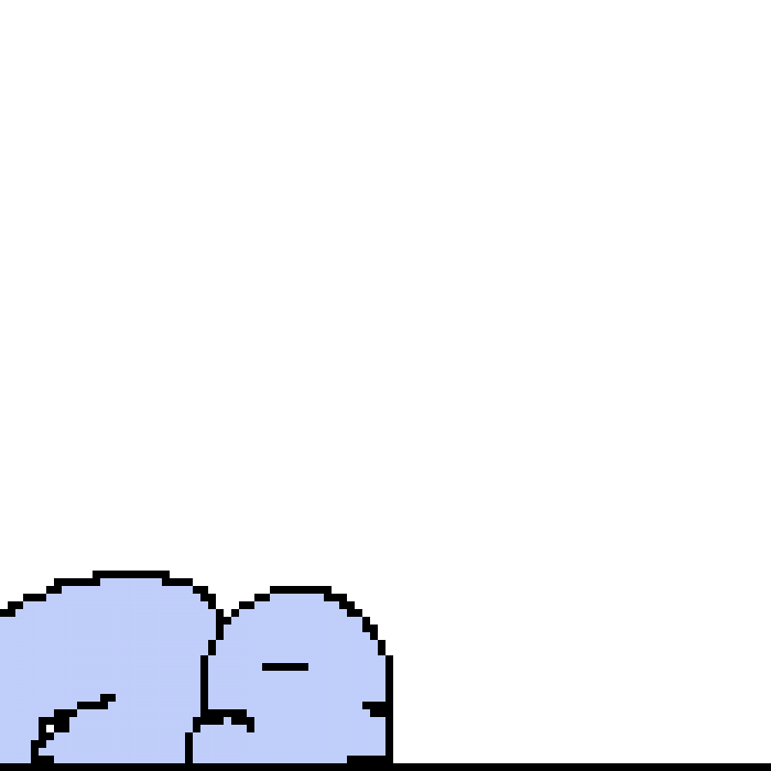Seal "eating" cake