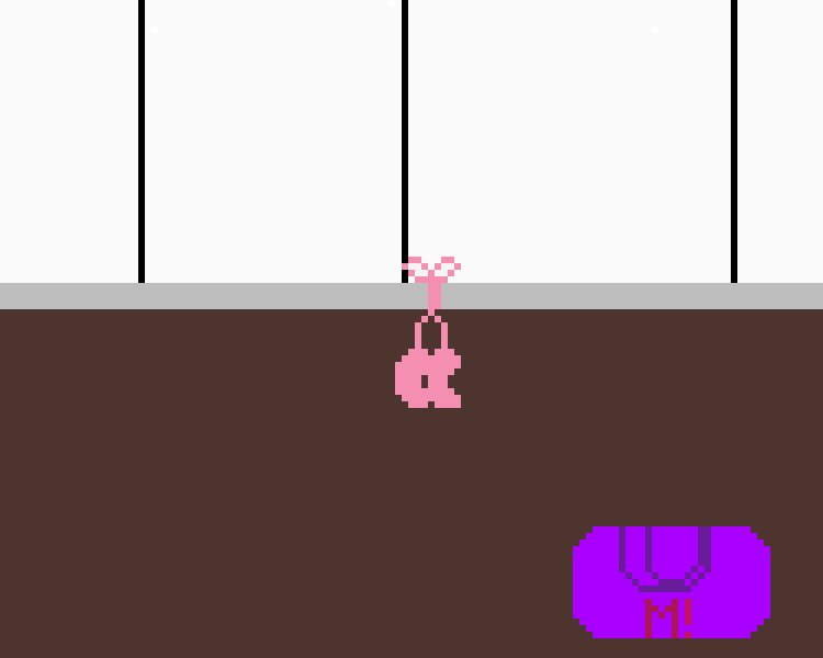 Ballet slippers