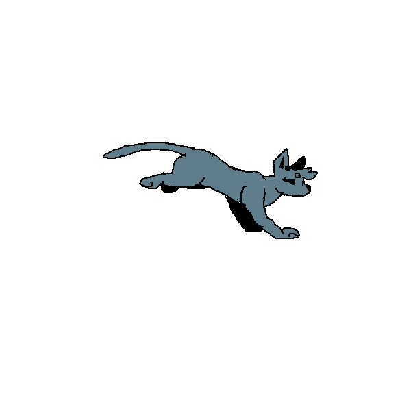 Cat run cycle WIP