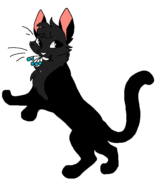 dancing cat