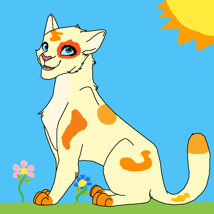 my cat