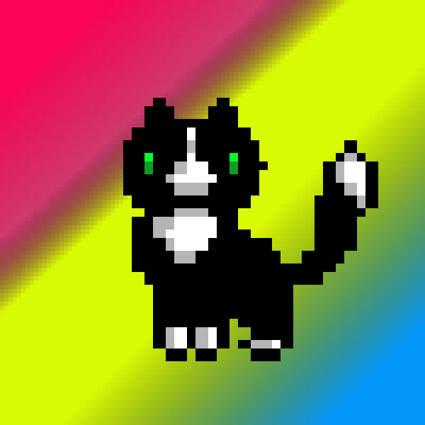 Tuxedo Cat