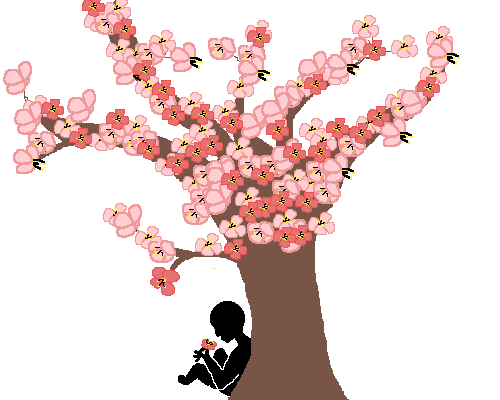Cherry Blossoms