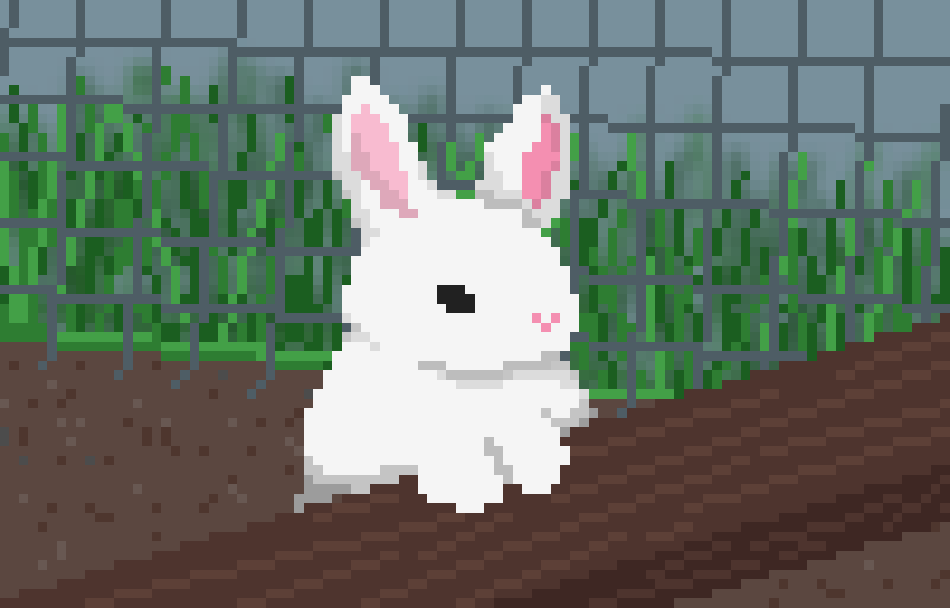 Rabbit