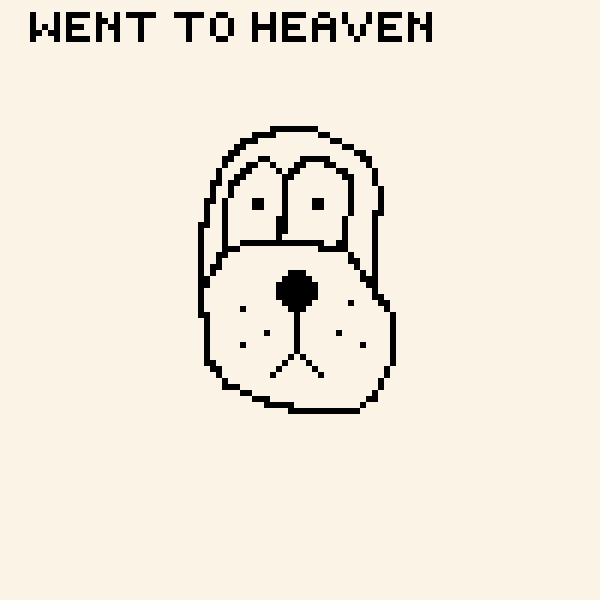 Tic Tok dog