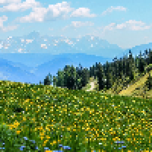 Spring Meadow
