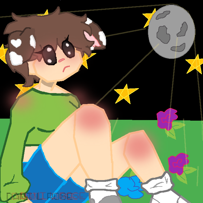 Dear Mr Moon