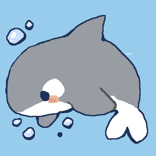 A Killer Whale / Orca