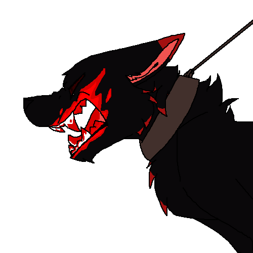 Shadow