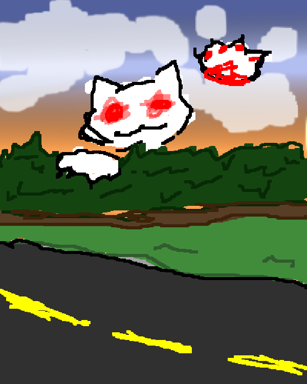 cloud cat