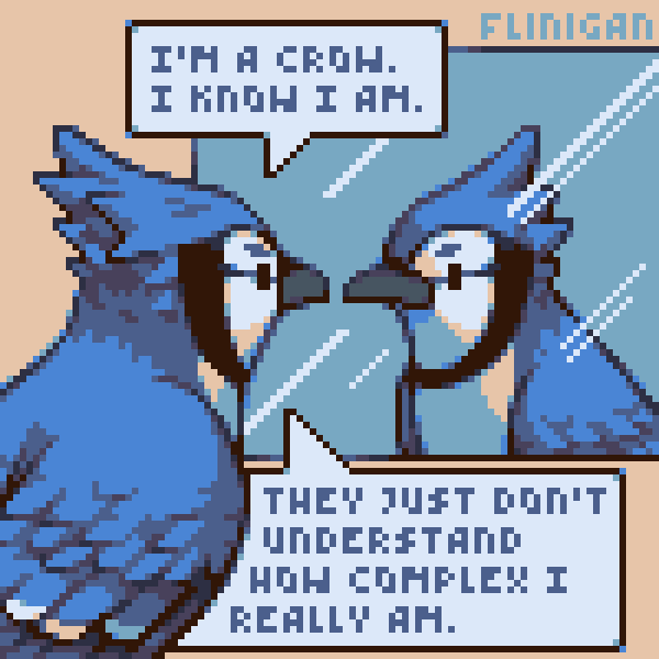Crowvember24 6
