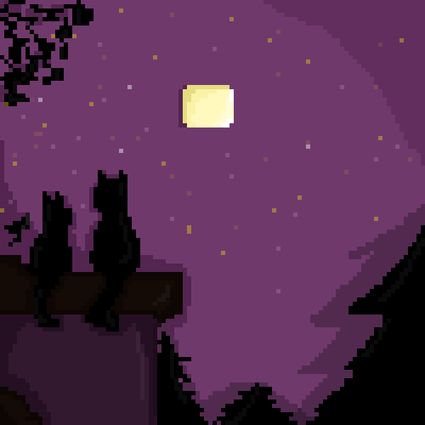 Cat at night