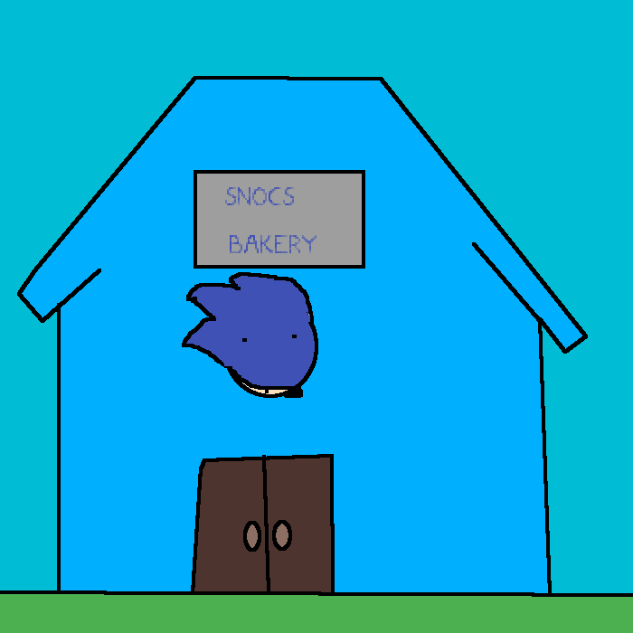 snocs bakery