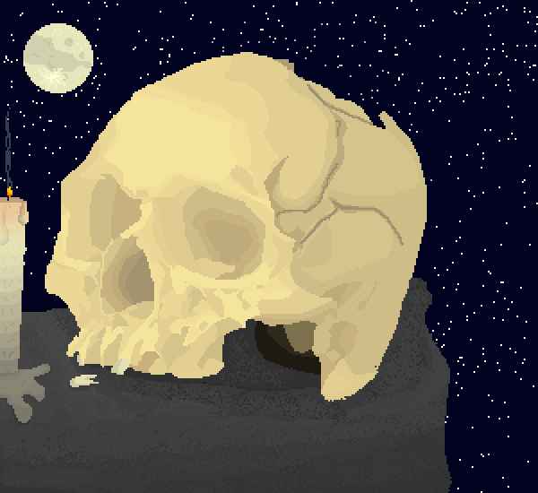 skull on a rock