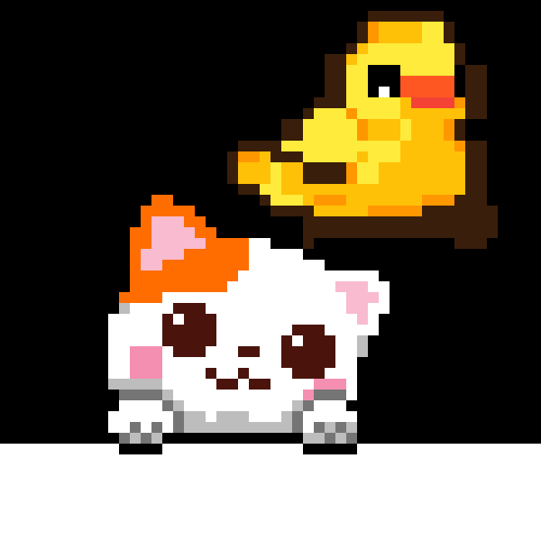 Cat and the chicken