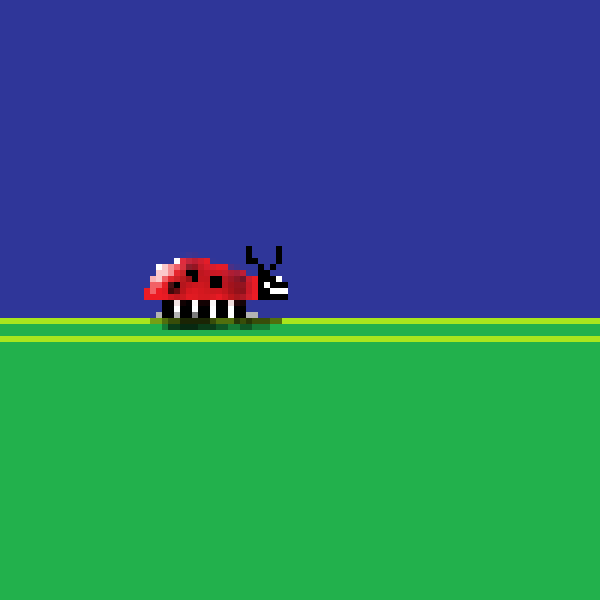 lady bug
