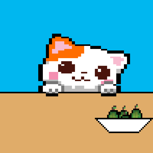 cat on table