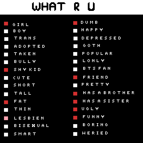 What are you