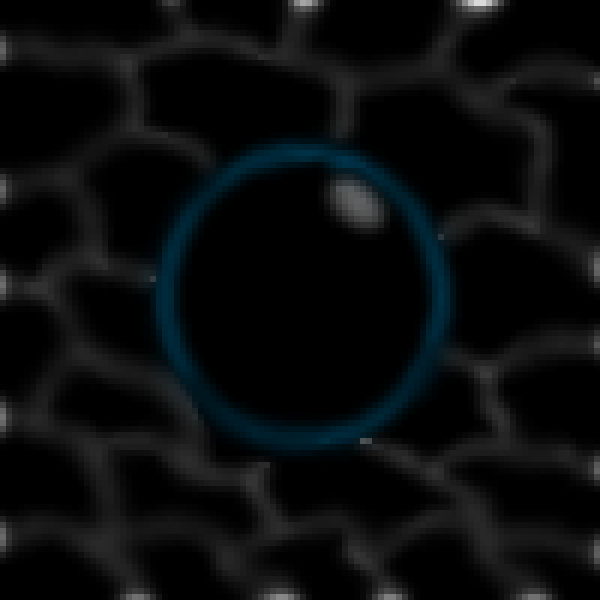 What am I?