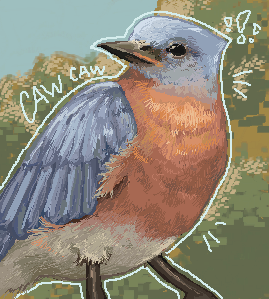 🐦🐦