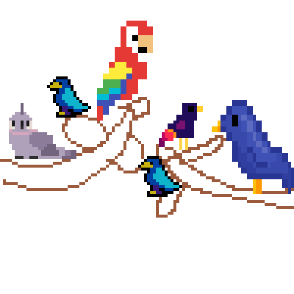 birds