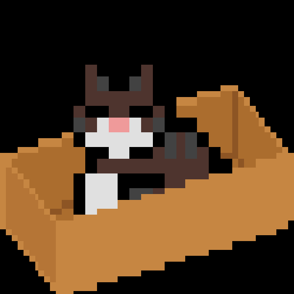 Cat in a Box