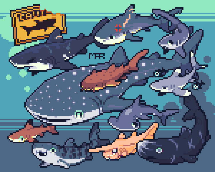Sharky