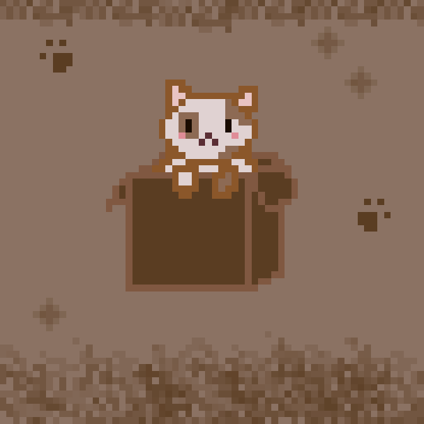 kitty in a box