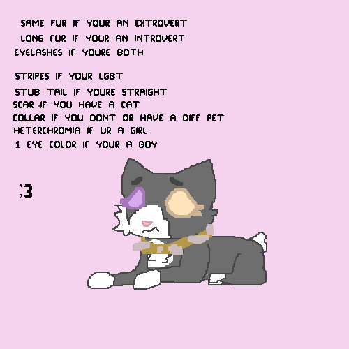 Make your own cat
