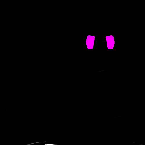 Eyes