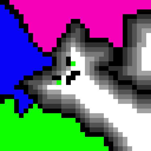angwy cat