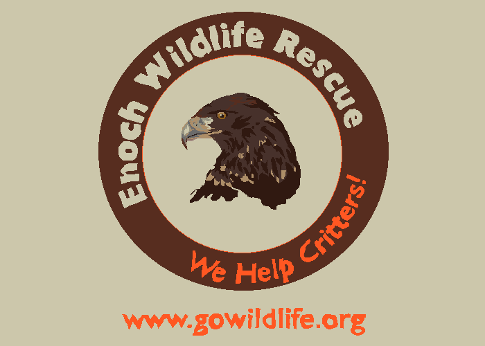 Southwest Wildlife Foundation