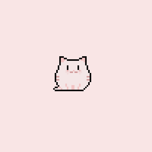 pink cat
